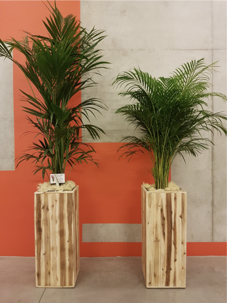 location bac en bois événement