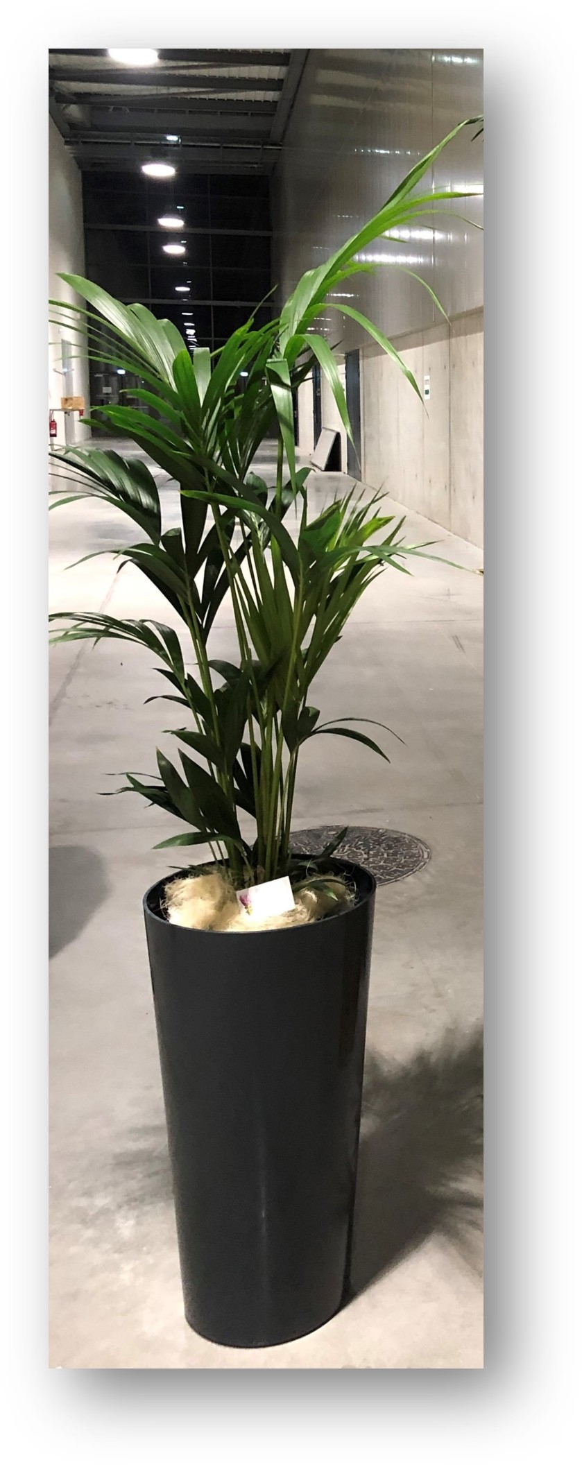 Bac cylindrique anthracite