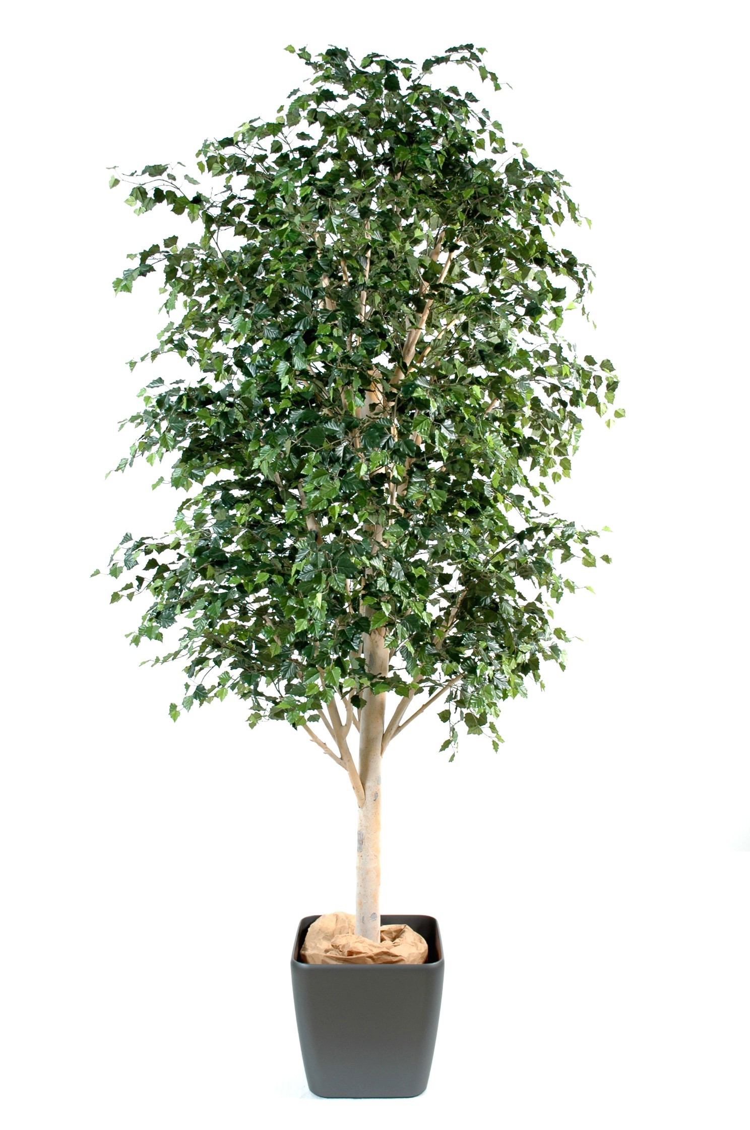 Bouleau artificiel vert