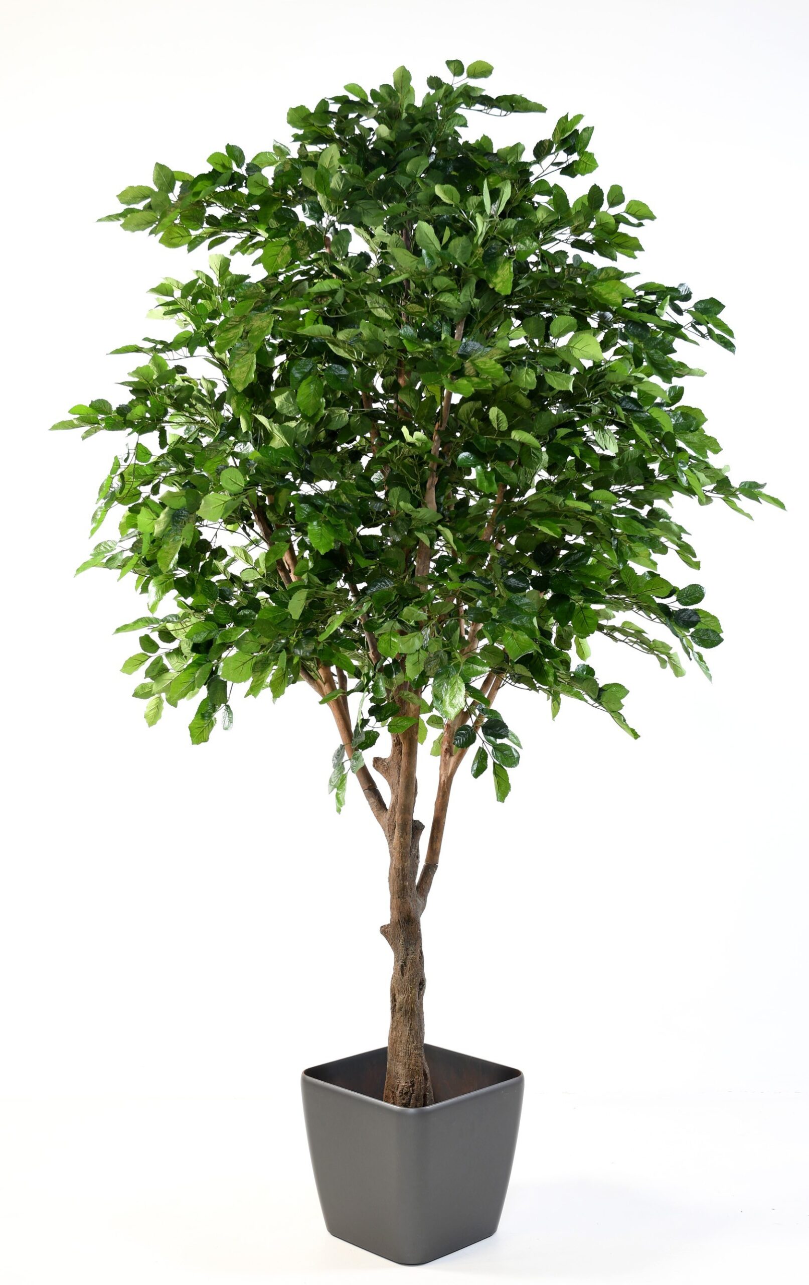 Hêtre artificiel vert